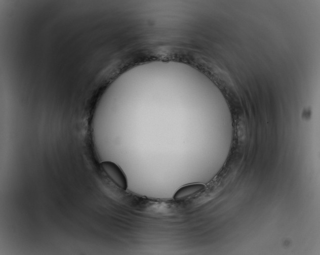 X0000103320611200809261138