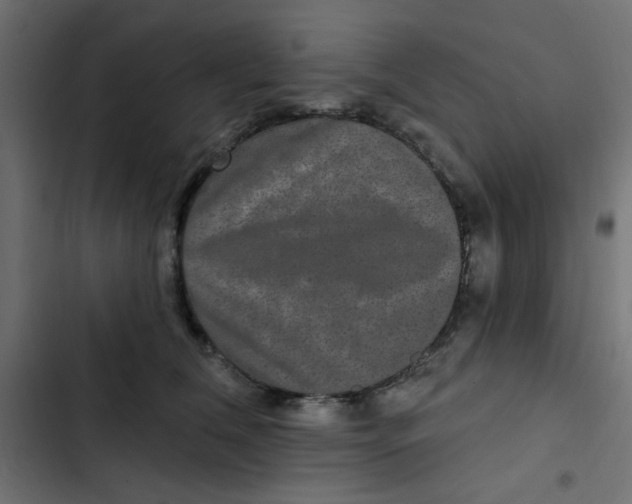 X0000103320612200809261138