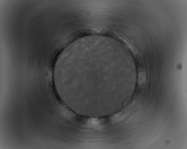 X0000103320613200809261138