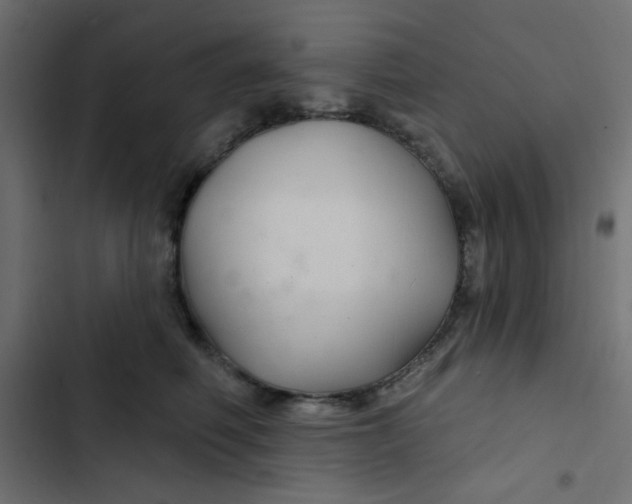 X0000103320614200809261138