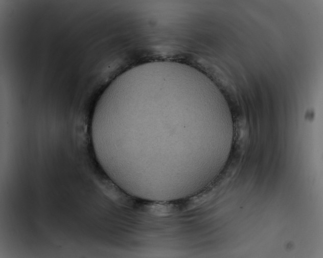 X0000103320615200809261138