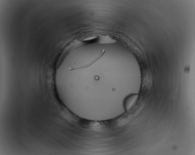 X0000103320616200809261138