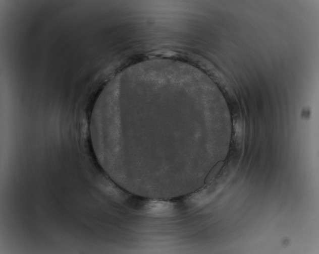 X0000103320617200809261138