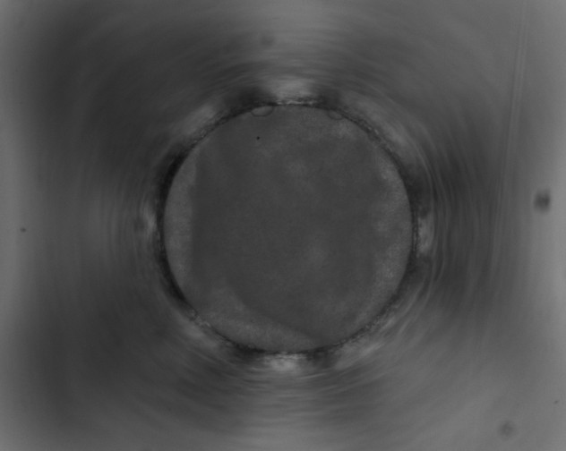 X0000103320618200809261138