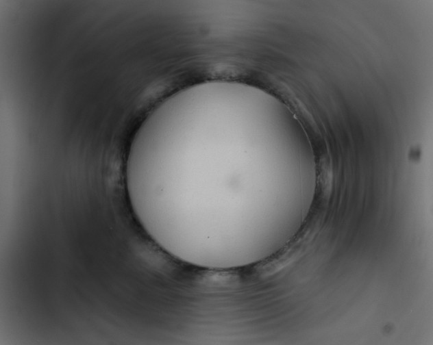 X0000103320619200809261138