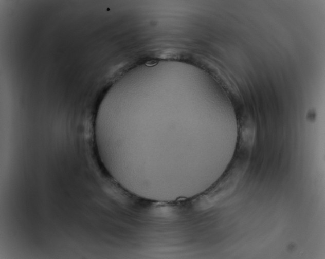 X0000103320620200809261137