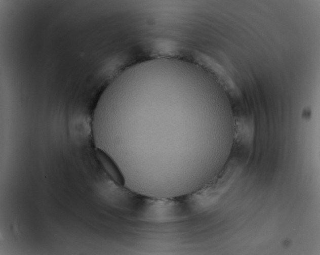 X0000103320621200809261137