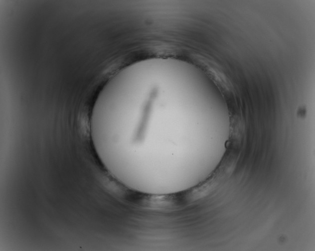 X0000103320622200809261137