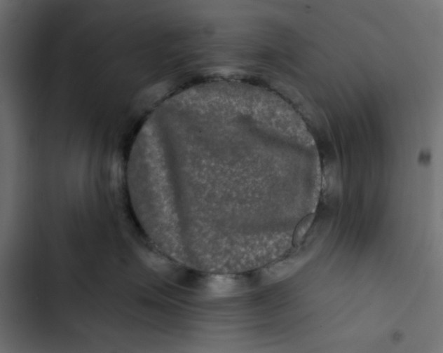 X0000103320623200809261137