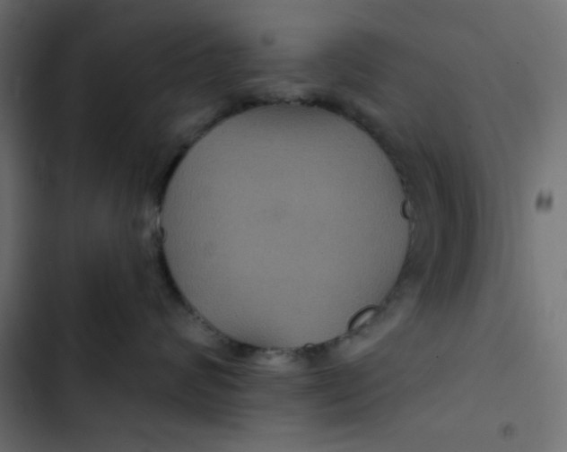 X0000103320624200809261137