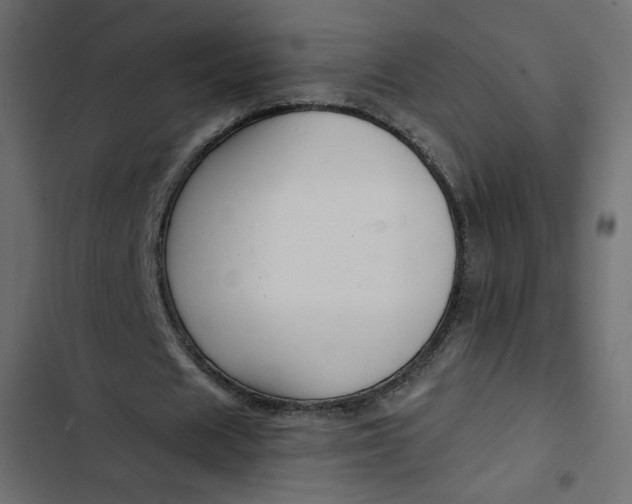 X0000103320625200809261137