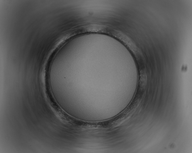 X0000103320626200809261137