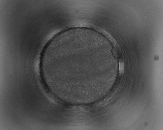 X0000103320627200809261137