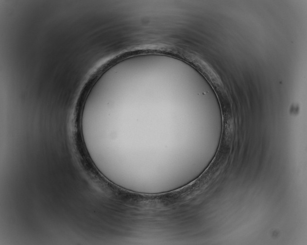 X0000103320628200809261137