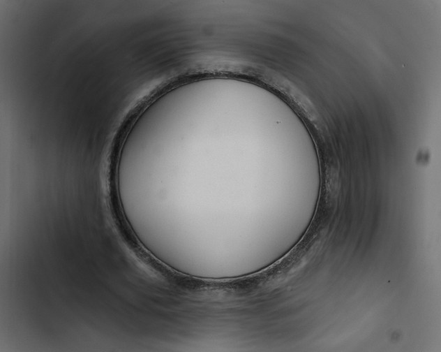 X0000103320629200809261137