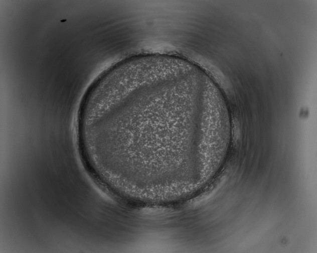 X0000103320630200809261137