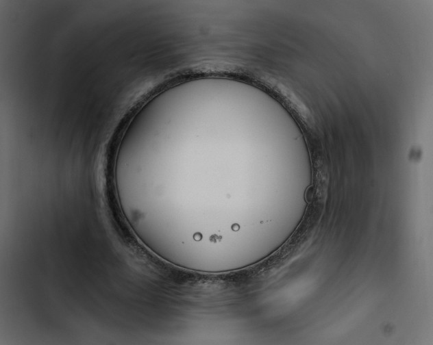 X0000103320631200809261137