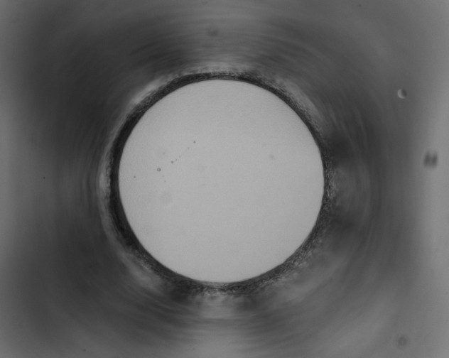 X0000103320632200809261137