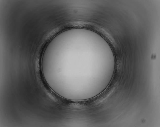 X0000103320633200809261137