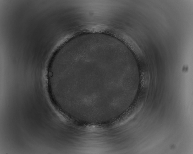 X0000103320634200809261137