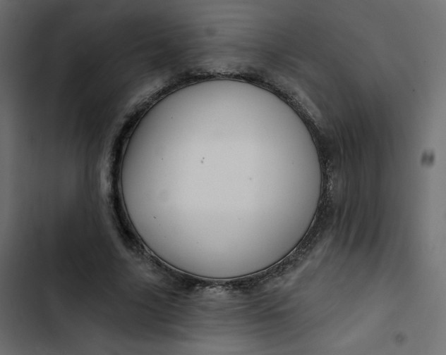 X0000103320635200809261137