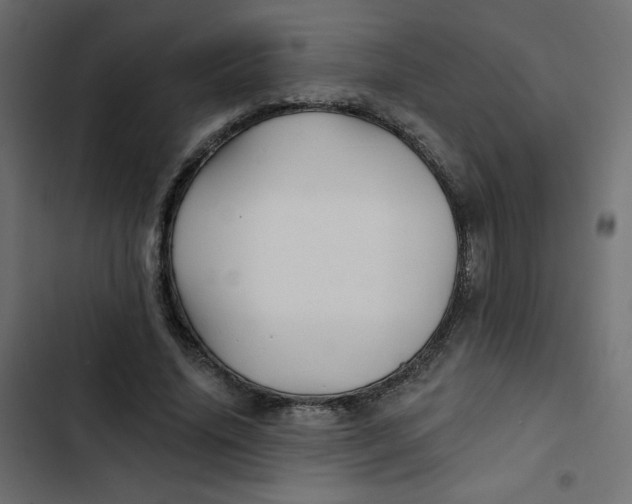 X0000103320636200809261137