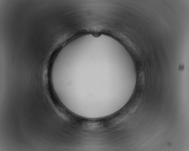 X0000103320638200809261137