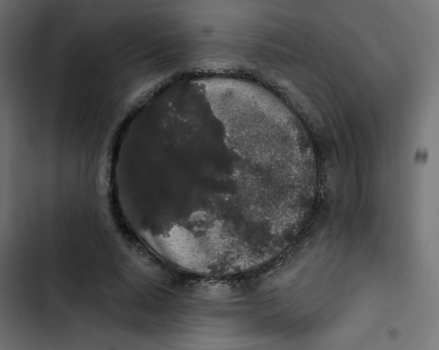 X0000103320640200809261137