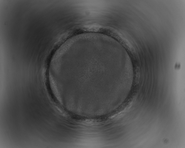 X0000103320641200809261137