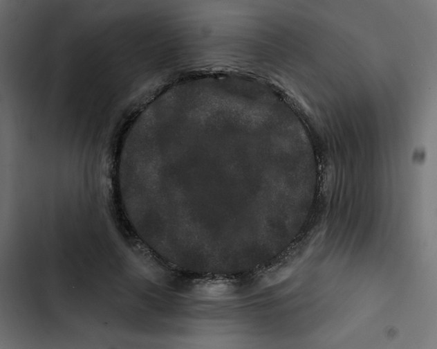 X0000103320643200809261137