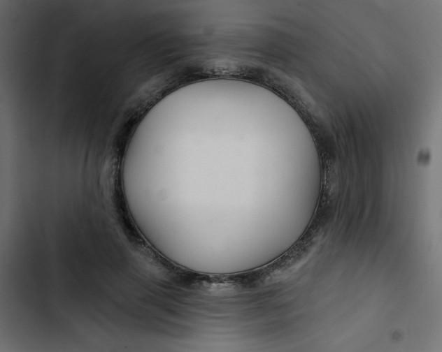 X0000103320645200809261137