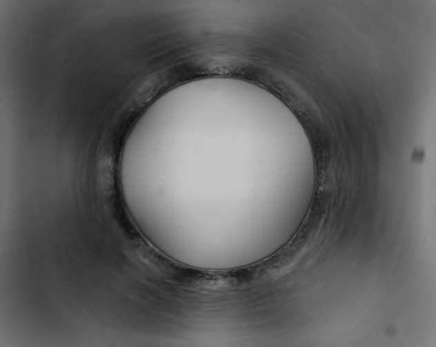 X0000103320646200809261137