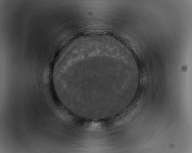 X0000103320647200809261137