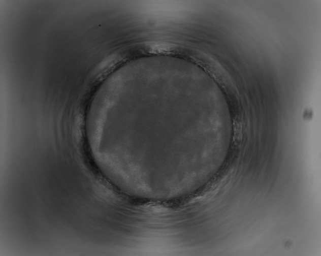 X0000103320648200809261137