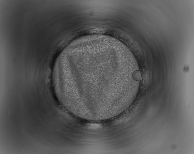 X0000103320649200809261137