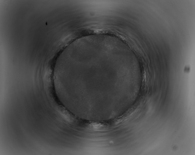 X0000103320650200809261137