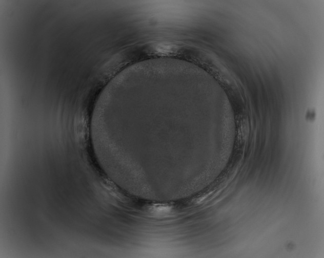 X0000103320651200809261137