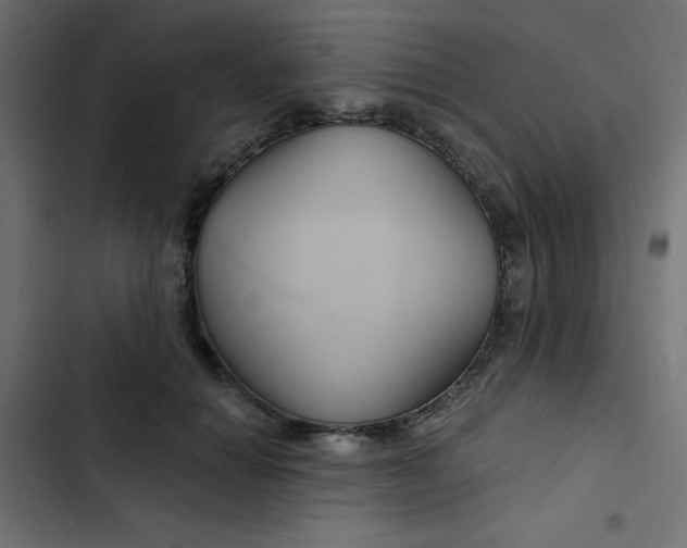 X0000103320654200809261137