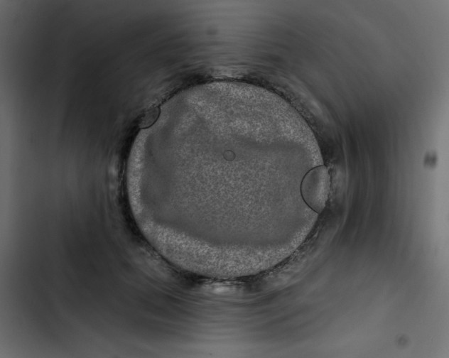 X0000103320655200809261137