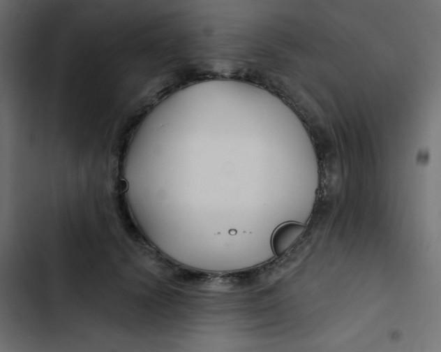 X0000103320656200809261137