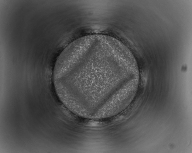 X0000103320657200809261137