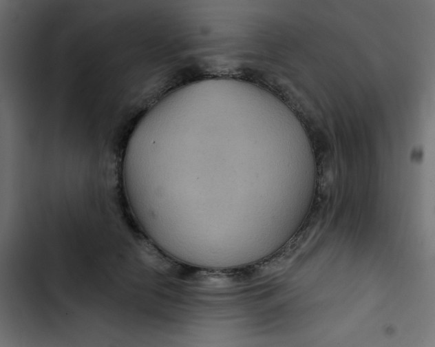 X0000103320658200809261137