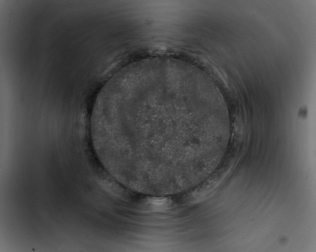 X0000103320659200809261137