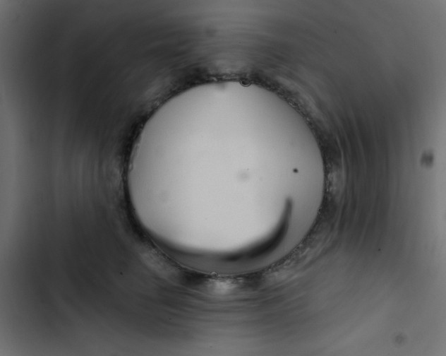 X0000103320662200809261137