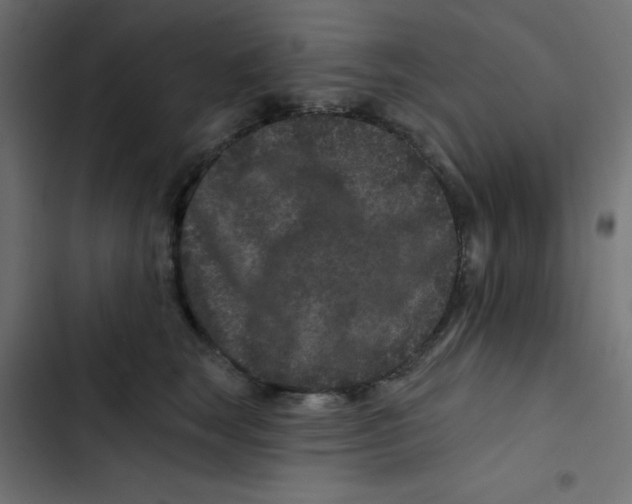 X0000103320663200809261137