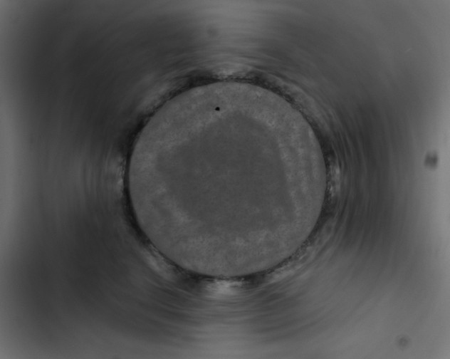 X0000103320664200809261137