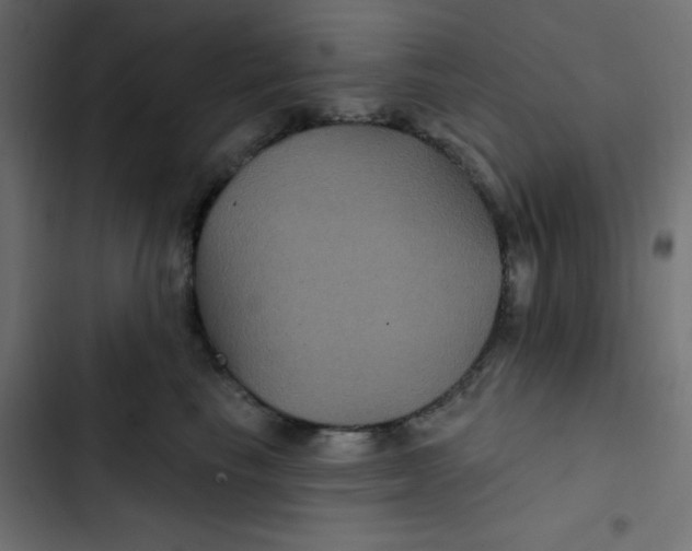 X0000103320665200809261137