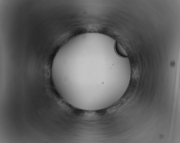 X0000103320666200809261137