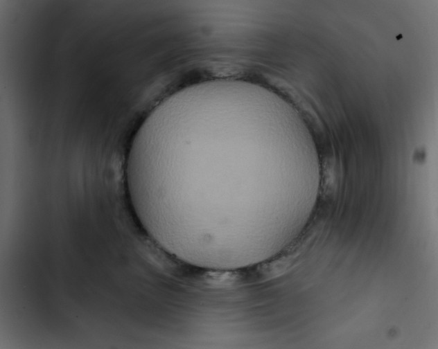 X0000103320667200809261137