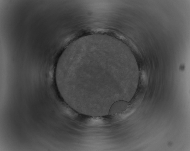 X0000103320668200809261137